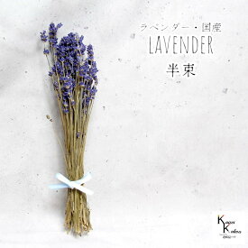 大地農園！プリザーブドフラワー 「ラベンダー・国産 半束」プリザ 花材 ハーバリウム オオチノウエン リラックス 抗菌 疲労回復 睡眠改善 インテリア おしゃれ かわいい プレゼント 贈り物