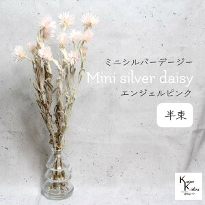 n_IvU[uht[ u~jVo[f[W[ GWFsN  v vU Mtg ԍ  CeA n[oE v[g 蕨  Vv ޗ t[