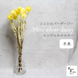 n_IvU[uht[ u~jVo[f[W[ GWFCG[  v vU Mtg ԍ  CeA n[oE v[g 蕨  Vv ޗ t