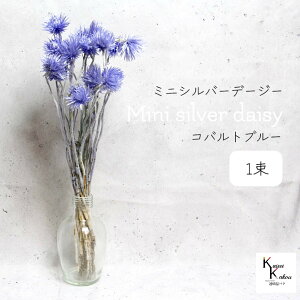 n_IvU[uht[ u~jVo[f[W[ Rogu[ 1 v vU Mtg ԍ  CeA n[oE v[g 蕨  Vv ޗ t[A