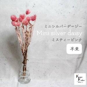 n_IvU[uht[ u~jVo[f[W[ ~XeB[sN  v vU Mtg ԍ  CeA n[oE v[g 蕨  Vv ޗ t[