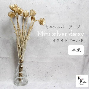 n_IvU[uht[ u~jVo[f[W[ zCgS[h  v vU Mtg ԍ  CeA n[oE v[g 蕨  Vv ޗ t[