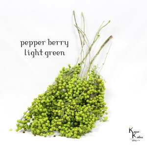 n_I vU[uht[ uybp[x[ CgO[ 1vvU@ybp[x[ ԍ n[oE  킢 v[g 蕨@II`mEG NX}X