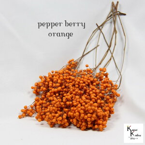 n_I vU[uht[ uybp[x[ IW 1vvU@ybp[x[ ԍ n[oE  킢 v[g 蕨@II`mEG NX}X