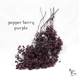 n_I vU[uht[ uybp[x[ p[v 1vvU@ybp[x[ ԍ n[oE  킢 v[g 蕨@II`mEG NX}X