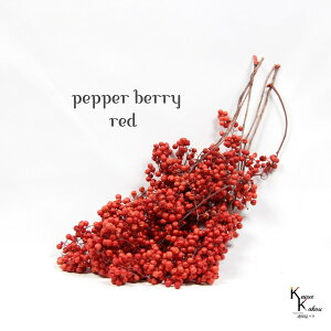 n_I vU[uht[ uybp[x[ bh 1vvU@ybp[x[ ԍ n[oE  킢 v[g 蕨@II`mEG NX}X