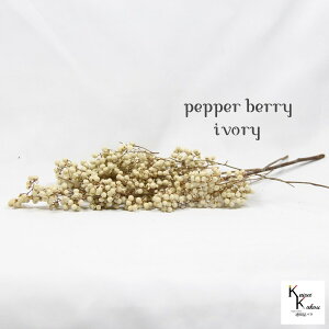 n_I vU[uht[ uybp[x[ AC{[ vvU@ybp[x[ ԍ n[oE  킢 v[g 蕨@II`mEG NX}X