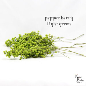 ��n�_���I �v���U�[�u�h�t�����[ �u�y�b�p�[�x���[ ���C�g�O���[�� �����v�v���U�@�y�b�p�[�x���[ �ԍ� �n�[�o���E�� ������� ���킢�� �v���[���g ���蕨�@�I�I�`�m�E�G�� �N���X�}�X