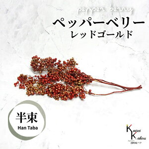 n_I vU[uht[ uybp[x[ bhS[h vvU@ybp[x[ ԍ n[oE  킢 v[g 蕨@II`mEG NX}X