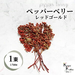 n_I vU[uht[ uybp[x[ bhS[h 1vvU@ybp[x[ ԍ n[oE  킢 v[g 蕨@II`mEG NX}X