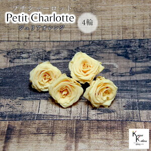 n_IvU[uht[ uv`V[bg 4 WAIWvvU ԍ n[oE  킢 v[g 蕨@II`mEG