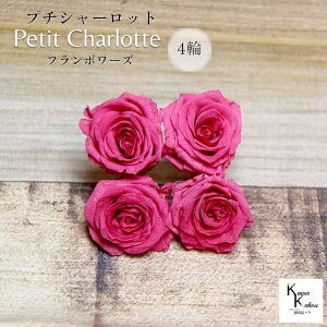 n_IvU[uht[ uv`V[bg 4 t{[YvvU ԍ n[oE  킢 v[g 蕨@II`mEG