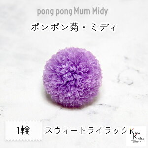 n_I vU[uht[ u||eE~fB XEB[gCbN 1ցvvU hCt[ ԍ  n[oE  킢 v[g 蕨 II`mEG