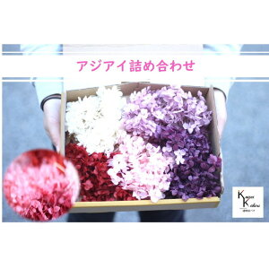 @n_@vU[uht[@usNEbhnv@lߍ킹@20g@5FA\[g \tgs~bhAWTC@AixAWTC@vU@AWTC@z ԍ n[