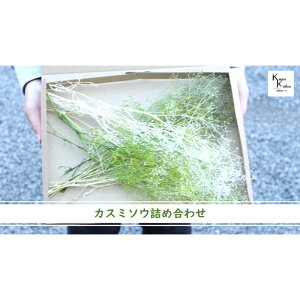 @n_@vU[uht[@JX~\EuO[nv@lߍ킹@20g@5FA\[g@vU@AWTC@z ԍ n[oE@t[ށ@t[A