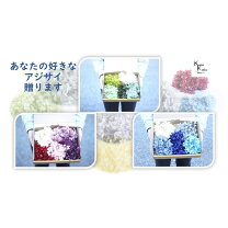 楽天市場】大地農園 パールグレー ソフトピラミッドの通販