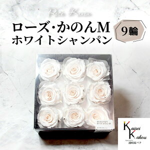 ��n�_�� �u���[�Y���̂�M �V�����p���s���N �I�ׂ���v �v���U�[�u�h�t�����[ �o�� �v���U �ԍ� �n�[�o���E�� ������� ���킢�� �v���[���g ���蕨 �I�I�`�m�E�G��