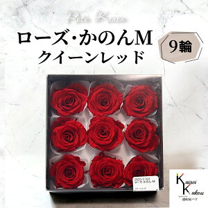 n_ u[ŶM NC[bh 9(1)v vU[uht[ o vU ԍ n[oE  킢 v[g 蕨 II`mEG