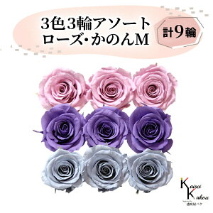 ��n�_�� �u���[�Y���̂�M 3�F×3�փA�\�[�g �v9�ցv �u�N���X�^���s���N ���x���_�[ �_�X�e�B�[�u���[�v�@�v���U�[�u�h�t�����[ �o�� �v���U �ԍ� �n�[�o���E�� ������� ���킢�� �v���[��