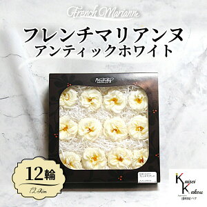 ��n�_���I�v���U�[�u�h�t�����[ �u�t�����`�}���A���k 12��(1��) �A���e�B�b�N�z���C�g�v �v���U �ԍ� �n�[�o���E�� ������� ���킢�� �v���[���g ���蕨 �I�I�`�m�E�G�� �o�� �K�N ���[�Y