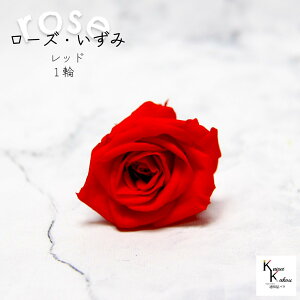 n_IvU[uht[ u[Y J[Iׂ 1 vvU ԍ n[oE  킢 v[g 蕨@II`mEG o KN [Y rose