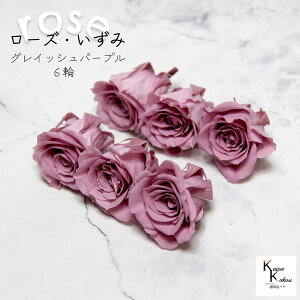 ��n�_���I�v���U�[�u�h�t�����[ �u���[�Y������ 6�� �O���C�b�V���p�[�v���v�v���U �ԍ� �n�[�o���E�� ������� ���킢�� �v���[���g ���蕨�@�I�I�`�m�E�G�� �o�� �K�N ���[�Y rose