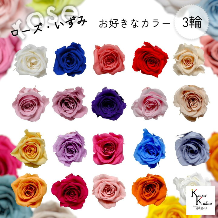 【新品】ハーバリウム　薔薇　バラ　花材　ビビアン　16色 バラ売りも可　大地農園 ハーバリウムキット】 ハーバリウム 花材セット１本分 （おとぎの花園） バラ ローズ おとぎの国 おとぎ話 花 ギフト：オシャレかわいい雑貨のお店  Acorn-Style*