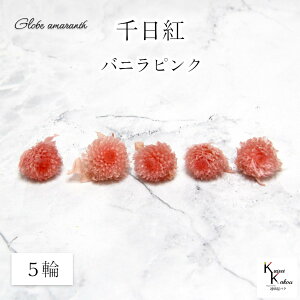 n_IvU[uht[ @5ցyg@Zj`RE ojsNzwbĥ݁@vU@ԍ n[oE  킢 v[g 蕨@II`mEG