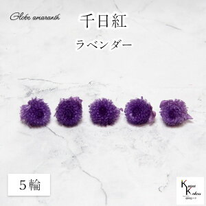 n_IvU[uht[ @5ցyg@Zj`RE@x_[zwbĥ݁@vU@ԍ n[oE  킢 v[g 蕨@II`mEG