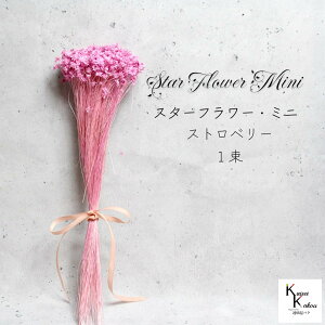 ��n�_���I�u�X�^�[�t�����[ �~�j �X�g���x���[ 1�� ��12g�i��400�{�j�v �h���C�t�����[�@�v���U�[�u�h�t�����[ �ԍ� �v���U �A�����W ���� �h�V�̓�