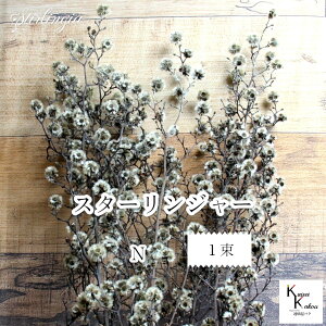 n_IvU[uht[ uX^[W[ N 1vvU ԍ n[oE  킢 v[g 蕨@II`mEG