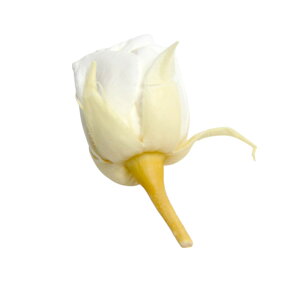 n_IvU[uht[ uX[W[ D݂̃J[ 20ցvvU ԍ n[oE  킢 v[g 蕨@II`mEG