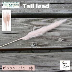 n_ue[[h~j sNx[W 1{vvU[uht[ vU n[oE II`mEG  hCt[ n[oE A}bNXo[ TVF Lh 