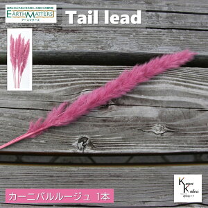 n_ue[[h~j J[jo[W 1{vvU[uht[ vU n[oE II`mEG  hCt[ n[oE A}bNXo[ TVF Lh