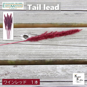 n_ue[[h~j Cbh 1{vvU[uht[ vU n[oE II`mEG  hCt[ n[oE A}bNXo[ TVF Lh ԍ