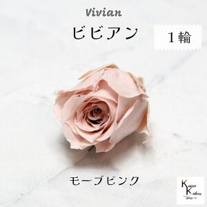 【新品】ハーバリウム　薔薇　バラ　花材　ビビアン　16色 バラ売りも可　大地農園 ハーバリウムキット】 ハーバリウム 花材セット１本分 （おとぎの花園） バラ ローズ おとぎの国 おとぎ話 花 ギフト：オシャレかわいい雑貨のお店  Acorn-Style*