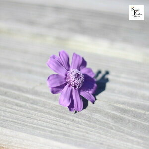 un_IhCt[uWjA@x_[@1ցvvU@AW@ށ@ԍށ@n[oE@@킢@v[g@蕨@II`mEG vU[uht