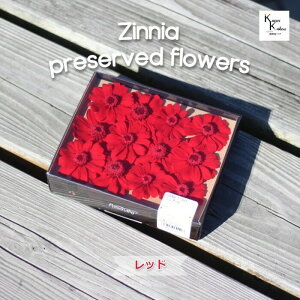 un_IhCt[uWjA@bh@1P[XvvU@AW@ށ@ԍށ@n[oE@@킢@v[g@蕨@II`mEG vU[uht