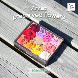 大地農園 ドライフラワー ジニア 10色セット オオチノウエン プリザ アレンジ 資材 花材 ハーバリウム おしゃれ かわいい プレゼント 贈り物 プリザーブドフラワー 花材セット 詰め合わせ アソート ミックス ドライフラワー 可愛い 材料 ボトルフラワー ボトルインフラワー