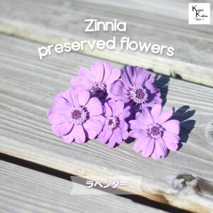 un_IhCt[uWjA@x_[@5ցvvU@AW@ށ@ԍށ@n[oE@@킢@v[g@蕨@II`mEG vU[uht