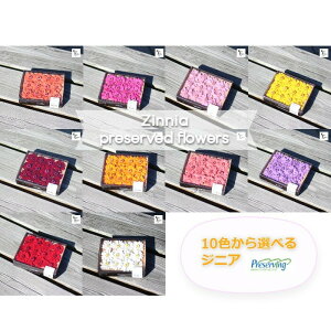 un_IhCt[uWjA@1ւJ[Iׂ@16ցvvU@AW@ށ@ԍށ@n[oE@@킢@v[g@蕨@II`mEG vU[