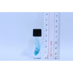 uW{ SYCv skelton XPg@NA@r@OZ@U@@lbNX@}Olbg@V[@t@C@΁@R@pY@H@ANZT[ ȁ@