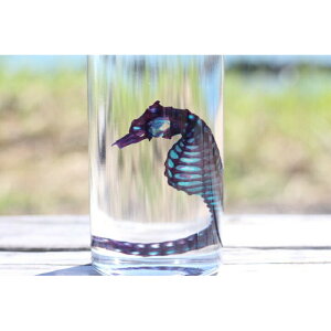 yW{@^cmIgVSz W{  i  CeA G XPg NA  r {g OZ U  lbNX }Olbg V[ t@C  R