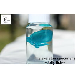 楽天市場 透明 標本の通販