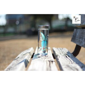 W{@tgASqQgJQ@skelton XPg@NA@r@OZ@U@@lbNX@}Olbg@V[@t@C@΁@R@pY@H@ANZT