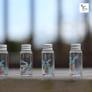 W{@AtJcKG@skelton XPg@NA@r@OZ@U@@lbNX@}Olbg@V[@t@C@΁@R@pY@H@ANZT