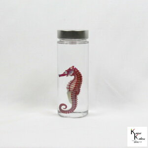 uW{@^cmIgVSv W{  i  CeA G XPg NA  r {g OZ U  lbNX }Olbg V[ t@C  R