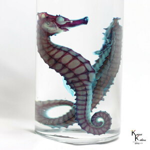 uW{ NE~E} IXXyAv ^cmIgVS skelton XPg@NA@r@OZ@U@@lbNX@}Olbg@V[@t@C@΁@R@p