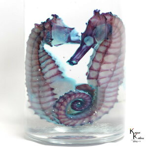 uW{ NE~E} IXXyAv ^cmIgVSskelton XPg@NA@r@OZ@U@@lbNX@}Olbg@V[@t@C@΁@R@p