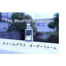 あなたの好きな瓶でストームグラス作ります！ストームグラス　オーダーページ　天気 お天気管 フィッツロイ バロメーター 海底2万マイル 結晶 ウェザーグラス テンポドロップ 気象計 天気予報 ハンドメイド インテリアグッズ インテリア雑貨 ハンドメイド雑貨